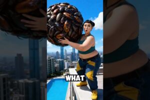 The Strangest Animal Fights Ever Seen!