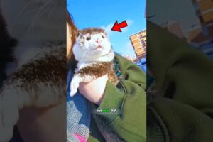 The little water mink everyone loves 😍