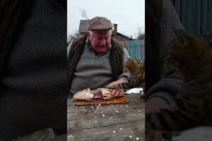 To na świnta jest! #shorts #polska