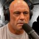 Top 10 Terrifying Near-Death Stories Ever Told on the Joe Rogan Experience