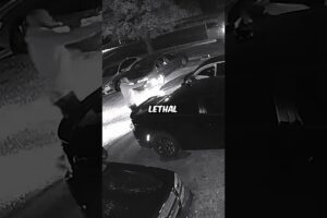 UFC Fighter Reveals How a Real Street Fight Looks!