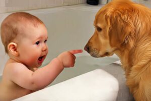 Ultimate Baby & Dog Moments: The Sweetest And Cutest Duo - Funny Babies Video || COOL PEACHY🍑