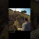 Wild Animal Encounters 😱 #shorts  #foryou #animals #nationalgeographic #funny #nature #scary