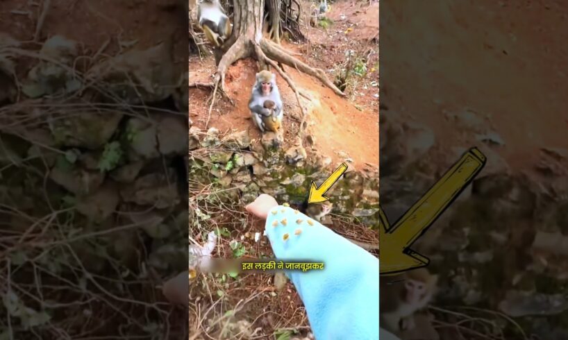 Will the Monkey Help Her? 🐒😍