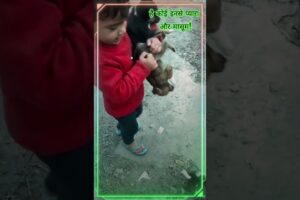 cute puppies and child एक प्यारा सा पल in#india #shorts