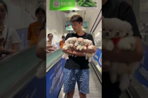 cute puppy gift to sister in law #explore