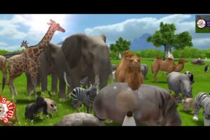 fountain crossing with gorilla, animal fights, wild animals // सफारी में कैद हुए जंगल के अनोखे पल"