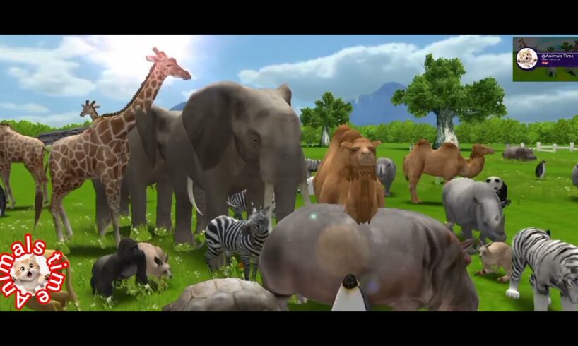 fountain crossing with gorilla, animal fights, wild animals // सफारी में कैद हुए जंगल के अनोखे पल"