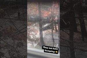 #hoodfights #hood #fight #fighting #squabbleup #fights #hoodfight #bumpin