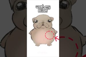 it’s puppy bath time! #pibble #shorts #memes #cute