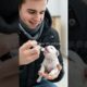 newborn puppy rescue from freezing snow touching animal rescue story