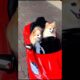 two cute puppies playing and riding a toy car adorable video #dog #puppy #dogvideos #cutedog #shorts