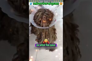 उलझे बाल से एक नई शुरुआत 🙏 #animal #animalrescue #animallover #rescue #dog