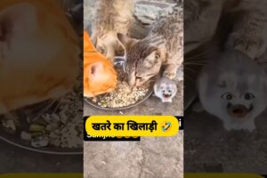 खतरे का खिलाड़ी 😂🤣 #funny #comedy #thetharpuns #shilpisaroja