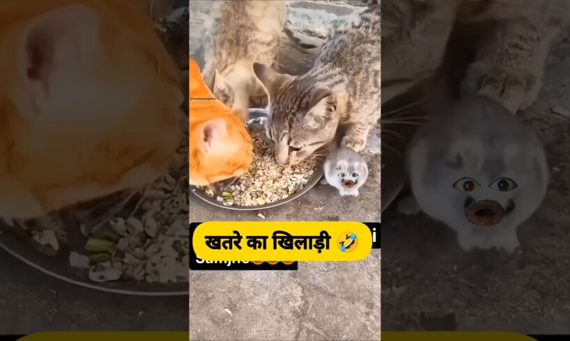 खतरे का खिलाड़ी 😂🤣 #funny #comedy #thetharpuns #shilpisaroja