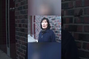 दस्ताने लाकर आभार जताने वाली बिल्ली 🙏 #animal #animalrescue #animallover #rescue #catlovers