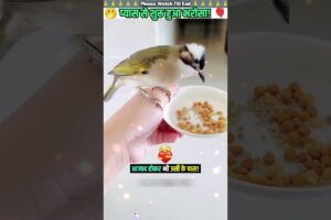 प्यार से शुरु हुआ भरोसा #animal #animalrescue #animallover #rescue #birdlovers