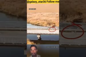 माँ तो आखिर माँ होती है 🙏 #animal #animalrescue #animallover #rescue #dog ‎⁨@galaxy_star36⁩ 