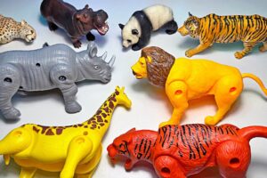 12 Transforming Animals - Lion, Tiger, Elephant, Jaguar, Elephant, Rhino, Bear, Zebra, Giraffe