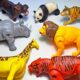 12 Transforming Animals - Lion, Tiger, Elephant, Jaguar, Elephant, Rhino, Bear, Zebra, Giraffe