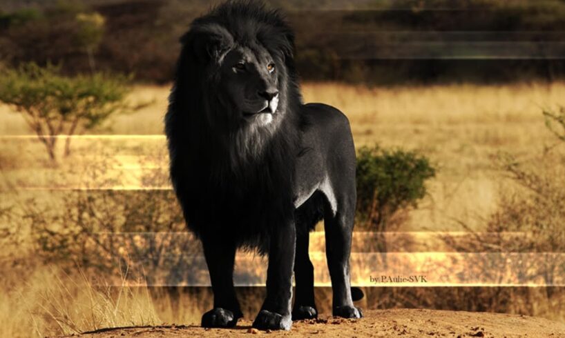 15 Scary Hybrid Animals that Actually Exist