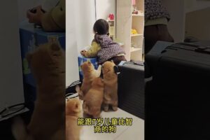 The love for these cute puppies grows day by day #dog #pet #cutedog #puppy #puppylove #cuteanimal