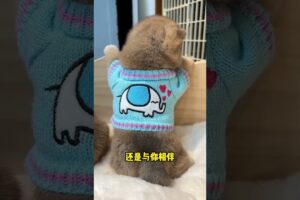 The love for these cute puppies grows day by day #dog #pet #cutedog #puppy #puppylove #cuteanimal