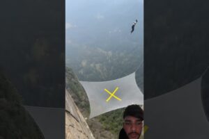 A disabled ducking 🐥helps cat 🐈friend #duckrescue #cuteanimals  #animalrescue