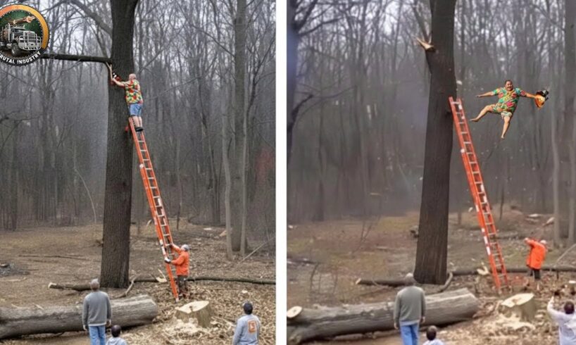 Idiots With Chainsaws: Tree Cutting Fails | Extreme Dangerous Logging Truck Fails #7