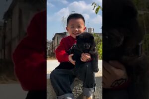 The love for these cute puppies grows day by day #dog #pet #cutedog #puppy #puppylove #cuteanimal