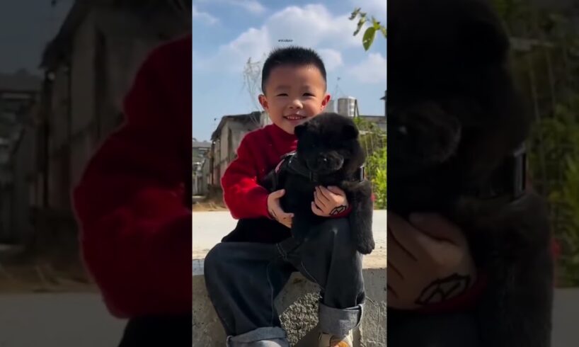 The love for these cute puppies grows day by day #dog #pet #cutedog #puppy #puppylove #cuteanimal