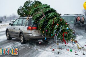 The Ultimate Christmas Fail Compilation | Funny Winter Fails of The Week | Try Not To Laugh #1