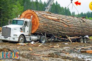 TOTAL IDIOTS AT WORK | Instant Regret Fails Compilation 2025 | Best fail of the week😂 #77