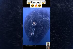 People are Awesome 🇺🇸🇺🇸 #imaginedragons #skills #respect #insanetalent #aura #trickshot #reaction