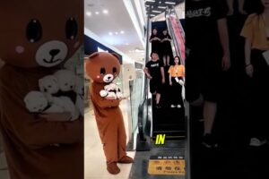 Cutest Puppies Ever 😍