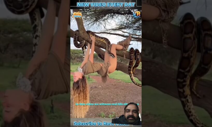 Incredible Animal Rescue Moments | Brave Humans Saving Animals