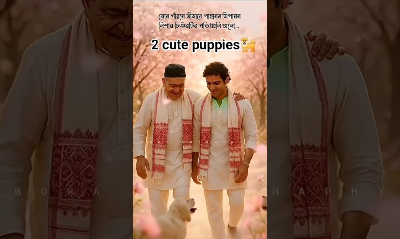2 Cute Puppies 🐕 Love Zubeen Garg Bhupen Hazarika❤️#zubeengarg #bhupenhazarika #cutepuppies#cutedog