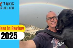 2025 Recap: A Year of Loss, Progress, and New Chapters - Takis Shelter