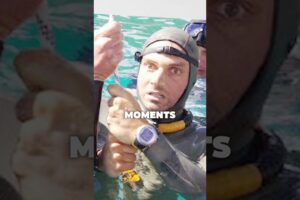 3 Photos Right Before Death