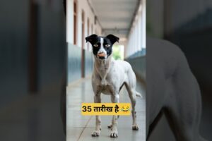 35 तारीख #funny #comedy #thetharpuns #shilpisaroja