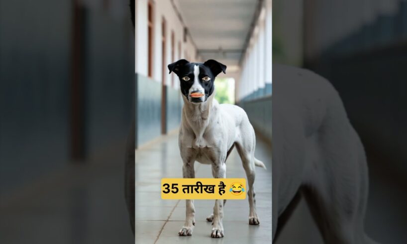 35 तारीख #funny #comedy #thetharpuns #shilpisaroja