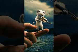 "A Cute Cat 😺 Plays Violin 🎻 and Emotional Music in Rainy Season" –  #shorts #trending