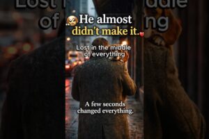 A Poor Puppy's Fight for Survival on the Streets #rescued #emotional #puppies