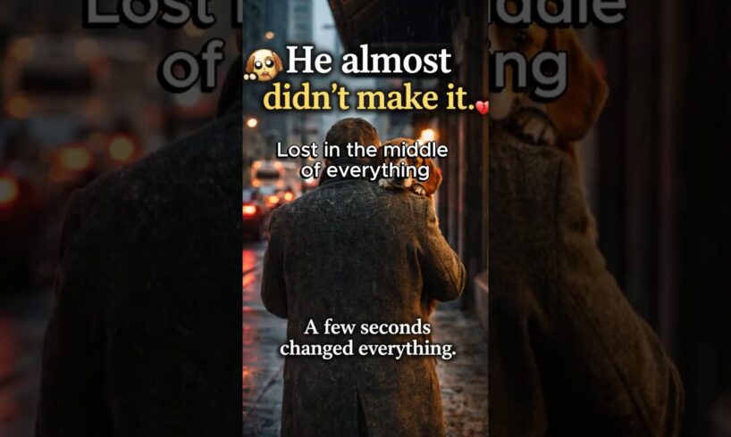 A Poor Puppy's Fight for Survival on the Streets #rescued #emotional #puppies