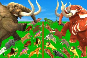 African Elephant vs Mammoth Mastodon Prehistoric Mammals vs Modern Animals Animal Epic Battle