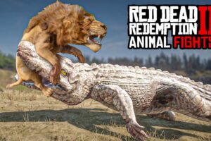 Animal Fights in Red Dead Redemption 2 - Winner Stays On Challenge!