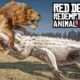 Animal Fights in Red Dead Redemption 2 - Winner Stays On Challenge!