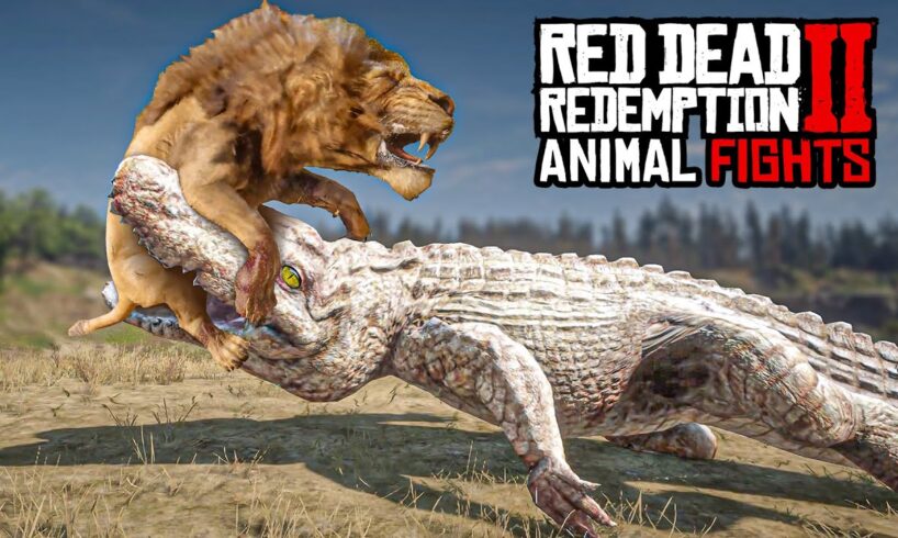 Animal Fights in Red Dead Redemption 2 - Winner Stays On Challenge!
