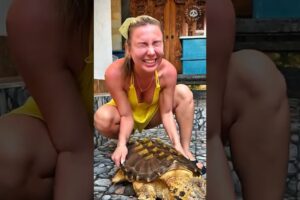 Animal Rescue | Great Kindness Done in Silence 😯 (Part 17)