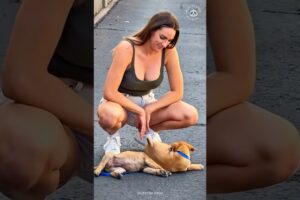 Animal Rescue | Silent but Real Heroic Acts 😮 (Part 21)